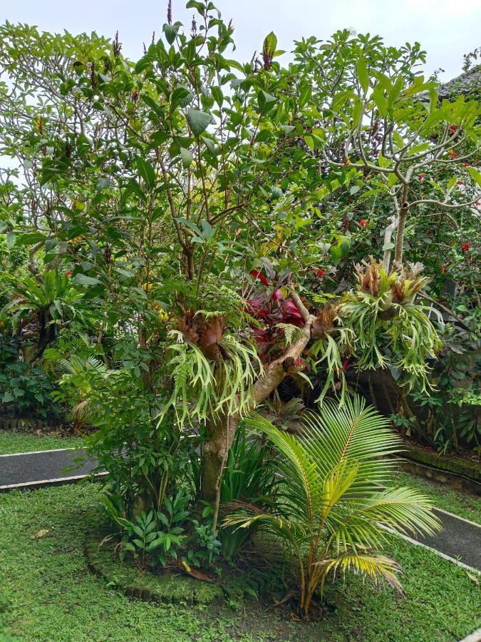 Bismajaya Bungalow Ubud Exterior foto