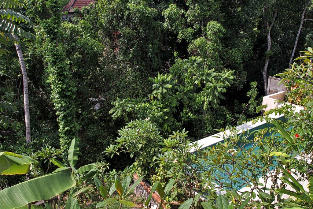 Bismajaya Bungalow Ubud Exterior foto