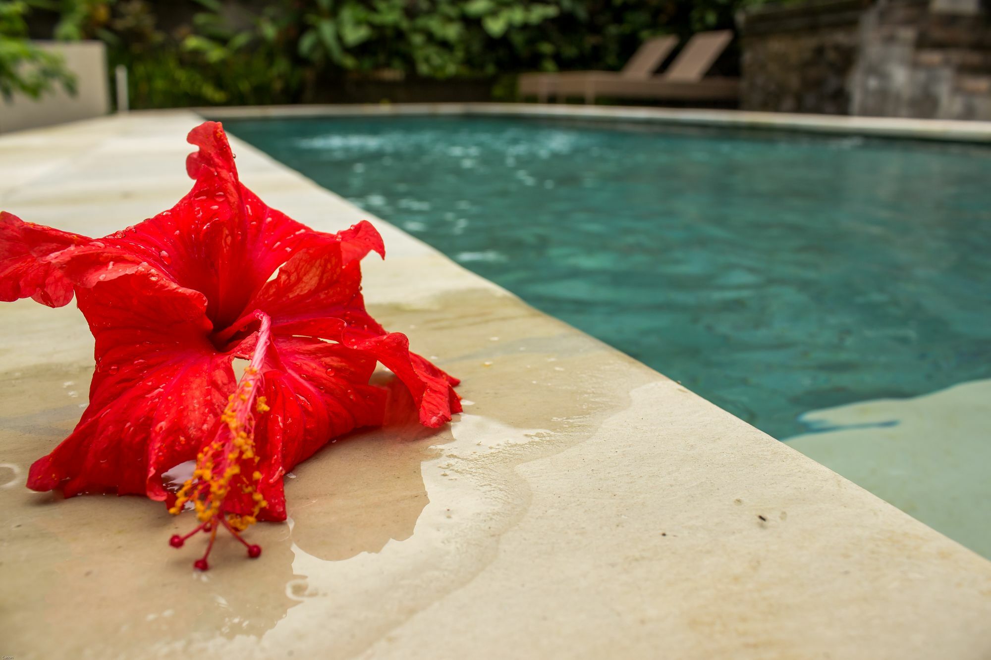 Bismajaya Bungalow Ubud Exterior foto