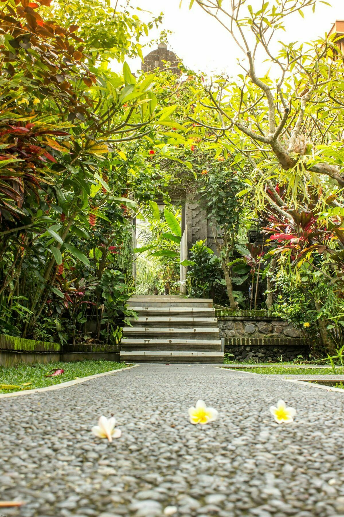 Bismajaya Bungalow Ubud Exterior foto